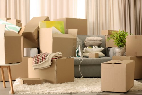 Professional movers handling household items carefully